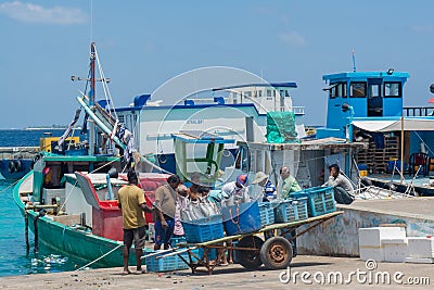 Group of fishermen at the harbor loading fish in the baskets Editorial Stock Photo