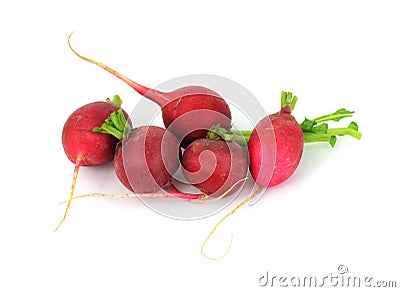Group of Five Radishes Stock Photo