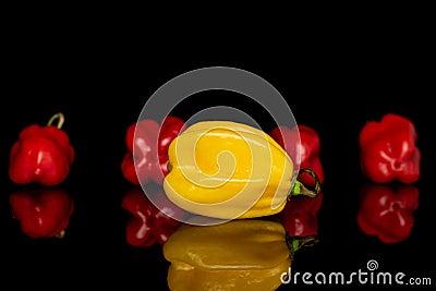 Hot chili habanero isolated on black glass Stock Photo