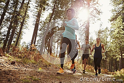 Group of four adults running in a forest, low angle view Stock Photo