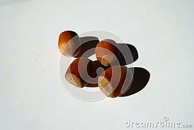 Group of 4 fully ripe unpeeled hazelnuts Stock Photo