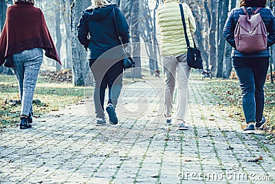 Group of four older women is walking along the alley in the park - generation of baby boomers on a walk. Stock Photo