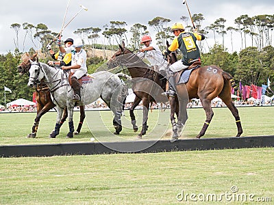 Group four polo players and horses compete for the ball with mallets raised Editorial Stock Photo