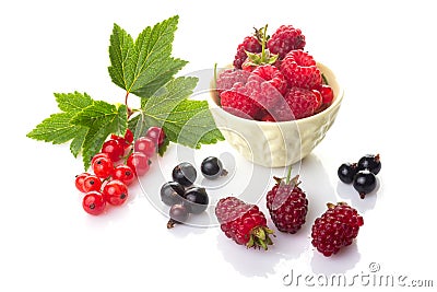 A group of fresh berries. Red and black currants with green leaves, raspberries in a bowl and loganberry isolated on white Stock Photo