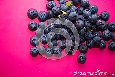 Group of fresh blueberries isolated on pink background. Stock Photo