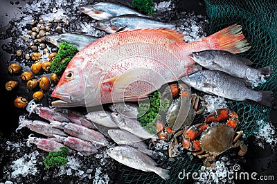 Group of fresh fish,crab and squid Stock Photo