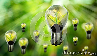 Group of fresh green small plant in light bulb Stock Photo