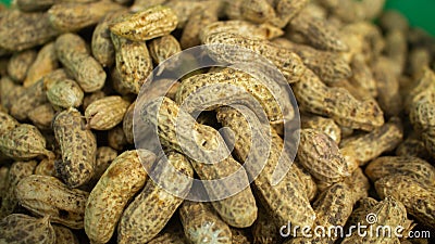 Group of fresh ground peanuts harvest from field Stock Photo