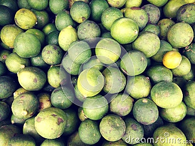 Group of fresh lime. Stock Photo