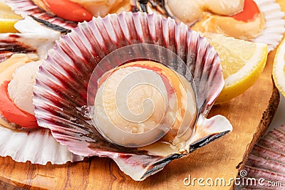 Group of fresh opened scallop with scallop roe or coral close up Stock Photo