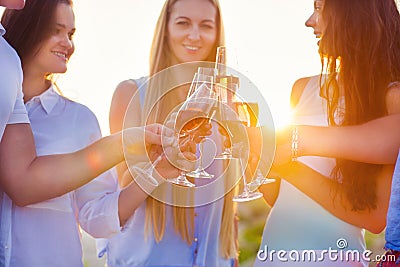 Group of friends toasting champagne sparkling wine at the beach Stock Photo