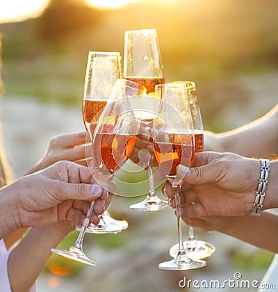 Group of friends toasting champagne sparkling wine Stock Photo