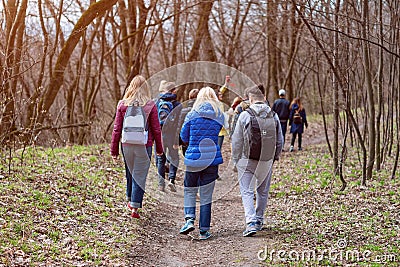 Group of friends walking with backpacks in spring forest from back. Backpackers hiking in the woods. Adventure, travel Editorial Stock Photo