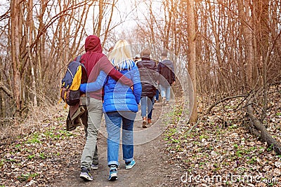 Group of friends walking with backpacks in spring forest from back. Backpackers hiking in the woods. Adventure, travel Editorial Stock Photo