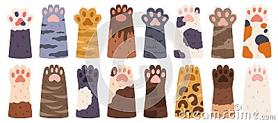 Group of Funny Mixed Breed Cat Paws in Row Isolated on White Background. Animals Hands Raised Up. Design Element Vector Illustration