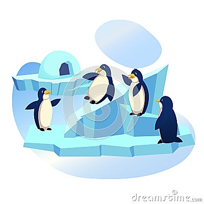 Group of Funny Penguins Playing on Ice Floe, Zoo Vector Illustration