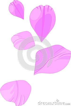 Group of gentle pink flower petals of different shapes Stock Photo