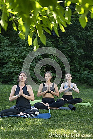 Group of girls meditate in the morning in park. Morning yoga practice outside. Young women in park do yoga Stock Photo