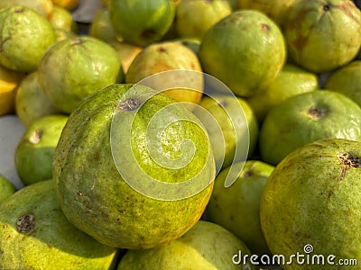 Group of green guava fruit fresh and ripe in market retail Stock Photo