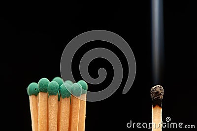 Group of green wooden matches standing with burnt smoked match Stock Photo