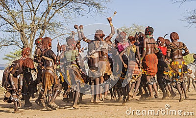 Group of Hamar women dance during bull jumping ceremony. Turmi, Omo Valley, Ethiopia. Editorial Stock Photo