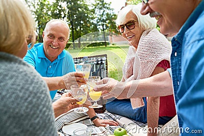 Group of Senior People Enjoying Picnic in Park Stock Photo