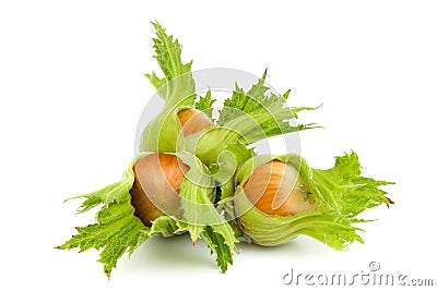 Group of hazelnuts with green leaves isolated Stock Photo