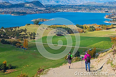 A group of hiker hiking on the beautiful track with a landscape of the mountains and Lake Wanaka. Roys Peak Track, South Island, Editorial Stock Photo