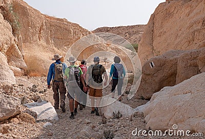 Group of hikers on a hiking trail in wadi Zafit, Negev desert, Israel. Editorial Stock Photo