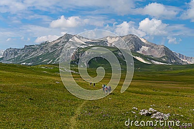 A group of hikers walk along a plateau with green grass to the snowy mountain peaks. In the background is a blue sky Stock Photo