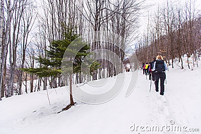 Group of hikers walking on the hike trail on snow Editorial Stock Photo
