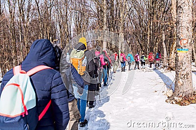 Group of hikers walking on the hike trail on snow Editorial Stock Photo