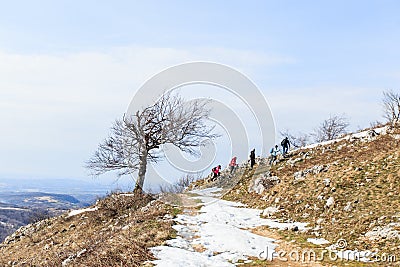 Group of hikers walking on the hike trail on snow Stock Photo