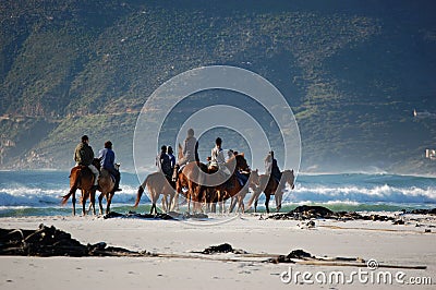 Horse riders at the beach with mountains in South Africa, Cape Town Editorial Stock Photo