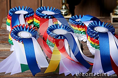 Group of horse riding equestrian sport trophys badges rosettes at equestrian event at summertime Stock Photo