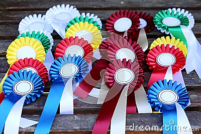 Group of horse riding equestrian sport trophys badges rosettes on table at equestrian event Stock Photo