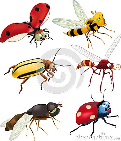 Group of insects Vector Illustration