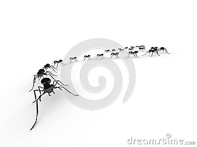 Group of insects, ants, in a line on the floor Stock Photo