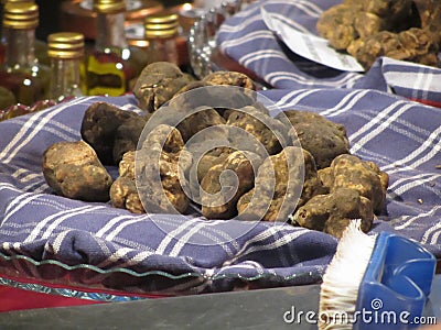 Group of italian expensive white truffles on the traditional canvas Stock Photo