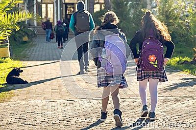 Group of kids going to school, education Stock Photo