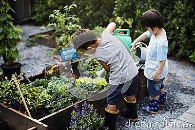 Group of kindergarten kids learning gardening outdoors Stock Photo