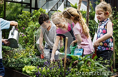 Group of kindergarten kids learning gardening outdoors Stock Photo