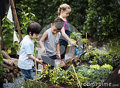 Group of kindergarten kids learning gardening outdoors Stock Photo