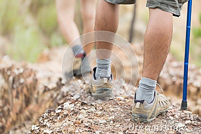 Group of man and women during hiking excursion in woods, walking Stock Photo