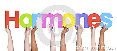 Group of Multiethnic Hands Holding Hormones Stock Photo