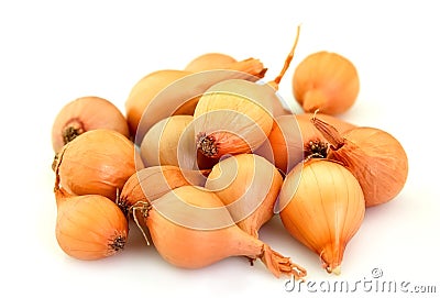 Group onion Stock Photo