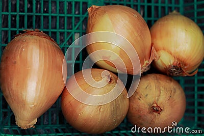 an group onion on green basket Stock Photo