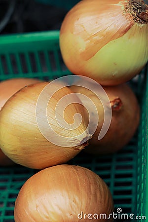 an group onion on green basket on wooden table Stock Photo