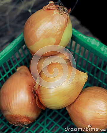 an group onion on green basket on table Stock Photo