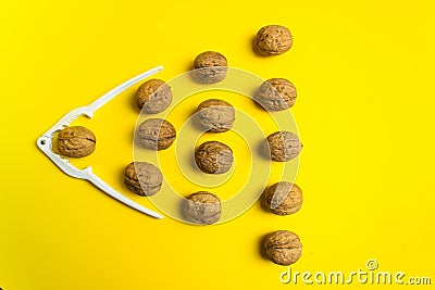 Group of ordinary walnut. Leader, individuality, best worker, best employee, idea, team. Business conceptual image Stock Photo